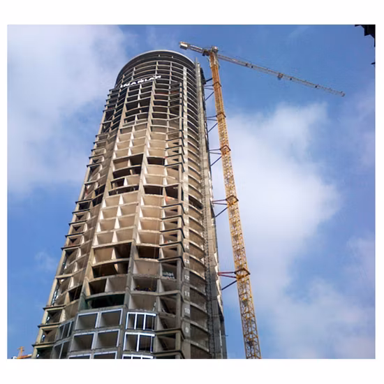 Grúa torre en topless con brazo de 47 m y carga máxima de 8 toneladas